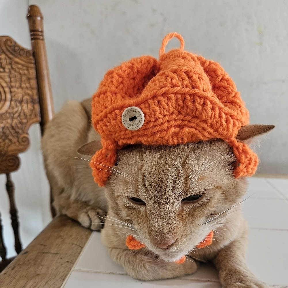 Handmade Halloween Crochet Pumpkin Hat for Cats or Small Dogs – Fall Pet Costume - Picture 8 of 16